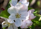 20110417_107