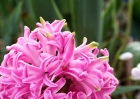 20110417_122