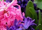 20110417_123