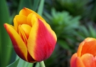 20110417_126
