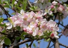20110417_19