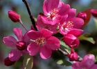 20110417_28