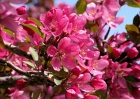 20110417_37