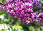 20110417_68