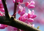 20110417_79