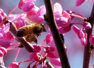 20110417_80