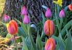 20110421_35
