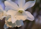 20110421_6