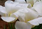 20110423_20