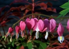 20110426_14