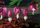 20110426_15