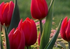 20110426_50