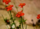 20110429_118