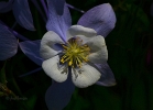 20110429_17