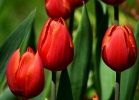 20110429_40