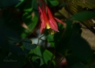 20110429_99