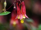 20110503_119