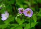 20110503_153
