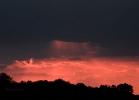 20110503_173