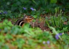 20110505_190