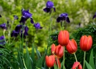 20110505_342
