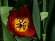 20110505_84