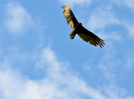 20110506_148