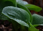 20110508_106