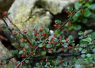 20110508_256