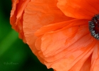 20110508_296