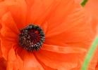 20110508_302