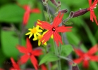 20110508_316