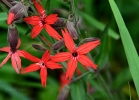 20110508_322