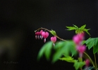 20110508_38