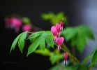 20110508_40