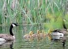 20110508_431