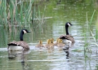 20110508_435