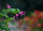 20110508_54