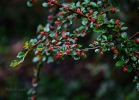 20110508_96