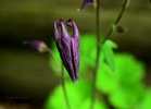 20110509_212