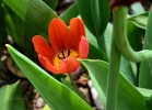 20110509_240