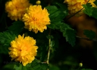 20110509_62
