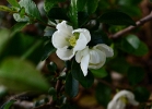 20110511_124