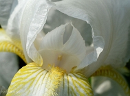20110511_164