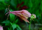20110511_80
