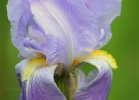 20110512_100