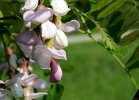 20110512_154