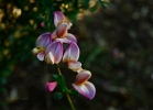 20110512_192