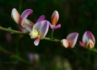 20110512_204