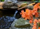 20110512_228